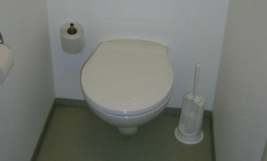 WC, zwei Buchstaben die Probleme beseitigen um neue zu schaffen.
Die Erfindung der Toiletten mit Wasserspülung galt wohl als eine der revolutionärsten Entwicklungen in Bezug auf Hygiene und Komfort. Schließlich brauchte man fortan nicht mehr