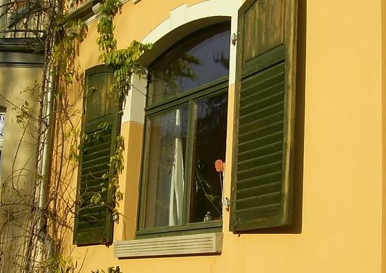 Holz-Fensterladen
Nicht nur weil es hier besonders gut harmoniert, gehören diese Fensterläden zum Haus.
