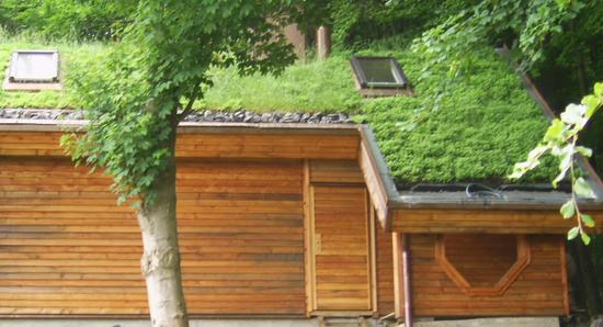 Dachbegrünung, bepflanzte Dächer
Ein Wochenendhaus in Mitten der Natur. Was liegt da näher als das Dach zu begrünen und so der Natur ein Stück zurückzugeben.