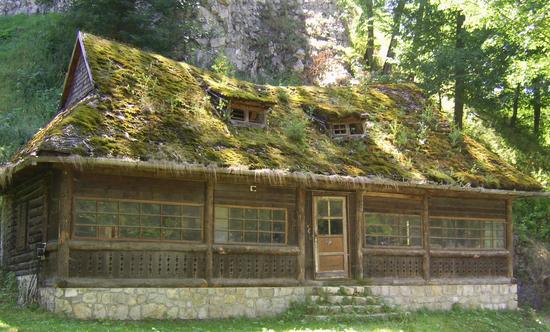 Moos auf dem Dach - Ungewollte Dachbegrünung
Dieses Haus führte viele Jahre unbeachtet, sozusagen ein Schattendasein. Die Natur versucht nun sich dieses Fleckchen Erde zurückzuholen und begann mit der Dachbegrünung.