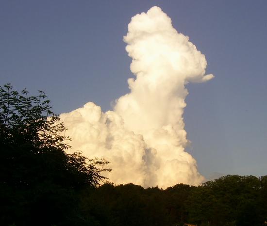 Wasserdampf - eine Form von Umweltenergie
Diese aufsteigende Wolke macht die Erdwärme sichtbar. Wasser verdunstet während sich die Erde abkühlt.