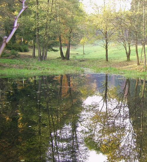 Wasser - Fluch und Segen
Wasser ist unbestritten unser wichtigstes Lebensmittel. Trotzdem kann Wasser auch zur Bedrohung für Mensch und Natur werden. Wie schön Hochwasserschutz sein kann,