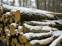 Holz ist ein geniales Naturmaterial
Die Vorzüge von Holz als Baustoff werden oft unterschätzt. Modische Erscheinungen lassen zum Teil sehr aufwändige Dinge entstehen, die mit Holz    viel einfacher und praktischer