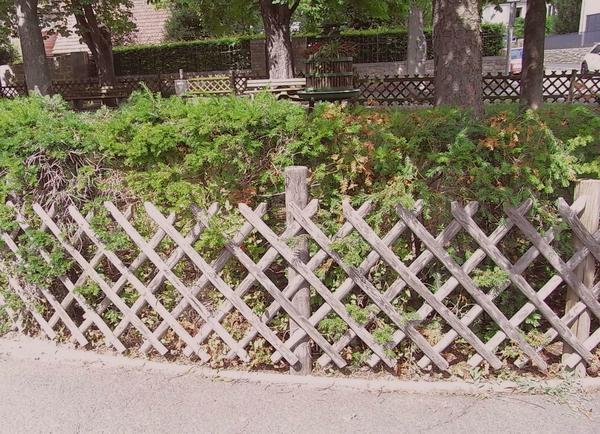 Jägerzaun oder Scherenzaun
Die Scherenzäune sind bei vielen Gartenbesitzern beliebt. Wenn sie wie hier ohne zusätzlichen Riegel gefertigt sind, kann man sie in der Breite anpassen.