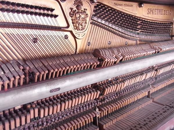 Blick ins Piano
Der erste Blick ins Klavier zeigt die ganze Bescherung. Das gute Stück hat mal längere Zeit etwas feucht gestanden. Nur vom Bier auf dem Klavier kann das nicht sein.