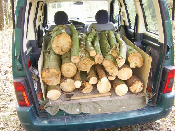 Berlingo - Universalfahrzeug
Die beste Idee der französischen Autobauer war, den Citroen Berlingo mit einem wirklich stabilen Boden auszustatten. Mit ein paar zusätzlich eingelegten Sperrholzplatten