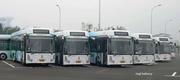 Flotte von Elektrobussen in China