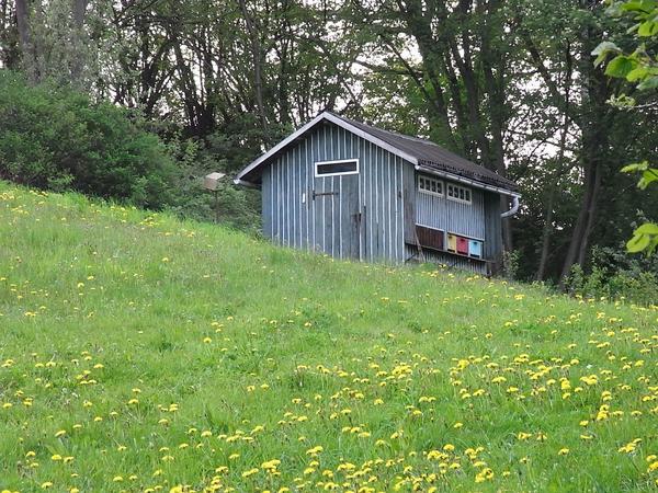 Bienen sind in Gefahr
Es soll doch Leute geben die sagen, was kümmern mich die Bienen. Nun, Honig essen die meisten und davon, das die Bienen Blüten bestäuben haben sie auch schon gehört.