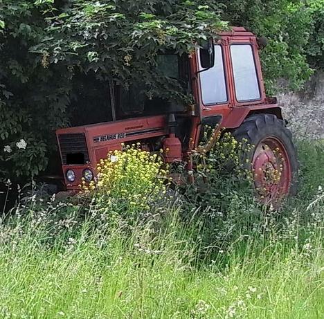 Schattenparker - oder Opfer der Krise?
Das Foto könnte auch, Landwirtschaft im Einklang mit der Natur heißen.