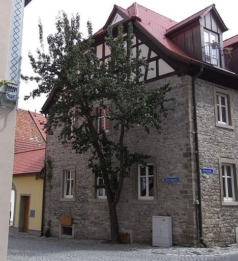 Birnbaum in der Stadt
Zu den wahren Sehenswürdigkeiten einer Stadt, zählen immer Dinge, die selten sind. Der Birnbaum hier vor der Hauswand gehört unbedingt dazu.