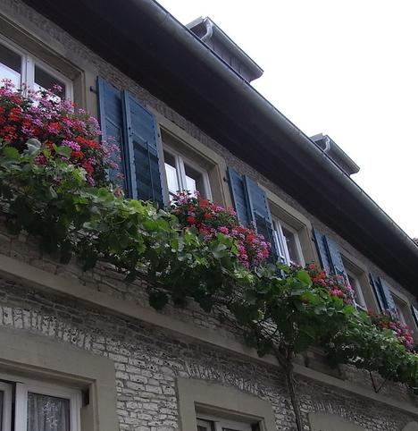 Steinfassade mit mediterranem Flair
Beim Anblick dieser Steinfassade, geschmückt mit traditionellen Fensterläden und vielen Blumen, wird man irgendwie ans Mittelmeer erinnert.