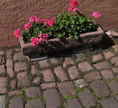 Abwasser versickert in den Fugen
Der Begriff Abwasser ist ja eigentlich nur ein Kunstwort. So ist ein Teil vom Abwasser auch als wertvolles Regenwasser einzustufen.