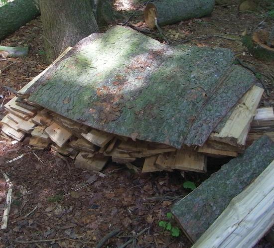 Baustoffgewinnung mit der Axt
Um zu verdeutlichen wie wichtig und wertvoll der Baustoff Holz ist, habe ich probiert mit einfachsten Mitteln aus einer umgestürzten Fichte nützliches Baumaterial herzustellen.