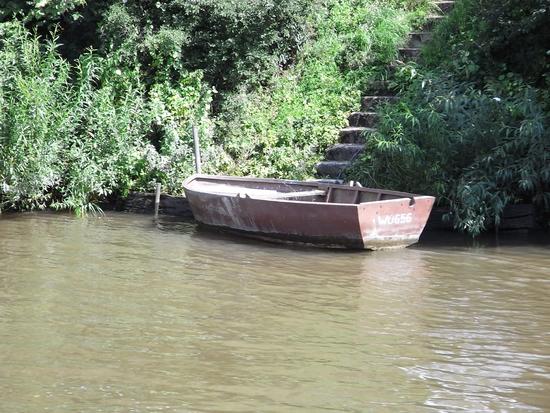 Wasserkraft wiederentdeckt
Während einer gemütlichen Dampferfahrt auf dem Main spukt mir die Wasserkraft im Kopf herum. Sollte es nicht möglich sein so einen friedlichen Fluss zur Energiegewinnung