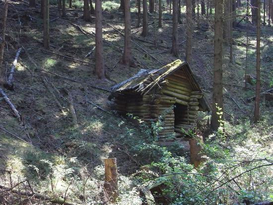 Verfallene Blockhütte im Wald
Mitten im Wald und nur zu Fuß zu erreichen hat sich vor Jahrzehnten jemand eine Blockhütte errichtet. Das Material gab es in unmittelbarer Nähe. Ursprünglich wurde nur sehr wenig