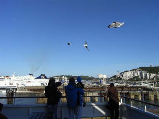 Möwen kreisen über das Schiff
Die Fähre dreht im Hafenbecken um rückwärts anzudocken. Auf dem Deck gibt es Fahrgäste, die Brotkrümel in die Luft werfen. Diese werden von Möwen aufgefangen.