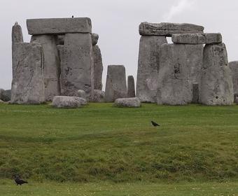 Ruhe in Stonehenge
Am frühen Morgen kann man das Flair des keltischen Steinkreises noch genießen. Das Krächzen der Raben scheint ein Teil der Kultstätte zu sein, gehört sozusagen zum Programm.
Bild 1