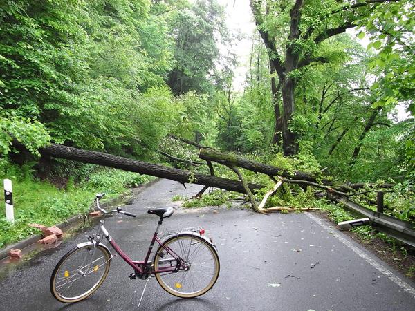 Straßensperrung wegen Unwetterschäden
Wenn der nächste Weg in die Stadt gesperrt ist, vermutet man doch mit dem Fahrrad noch irgendwie hindurch zu kommen. In diesem Falle war auch für den Radfahrer hier Schluß.